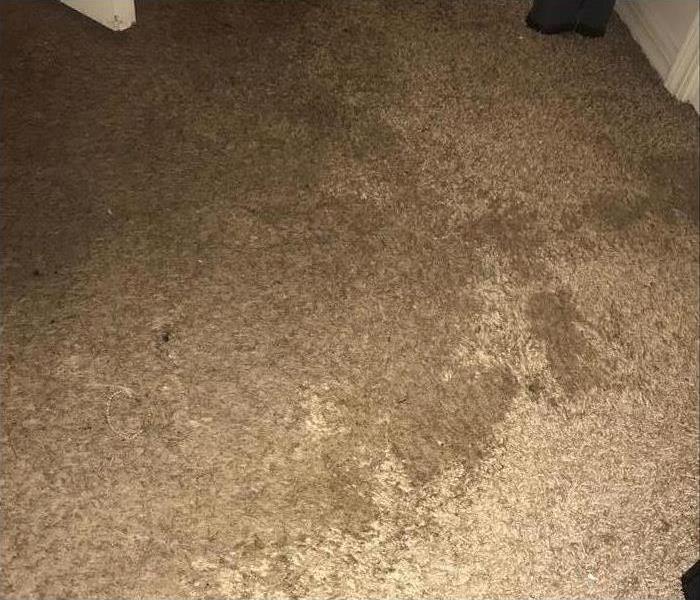 carpet with large water spot